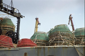 Социально-экономическое развитие