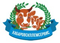 Хабаровскплемсервис