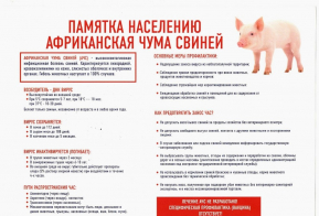 Информация об итогах рейда на предмет очагов распространения  африканской чумы свиней (АЧС) с угрозой заноса возбудителя из дикой фауны  и недопущению негативного развития эпизоотической ситуации