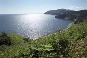 Климат