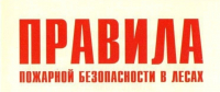 О мерах пожарной безопасности в лесах и правилах поведения в пожаро-опасный период